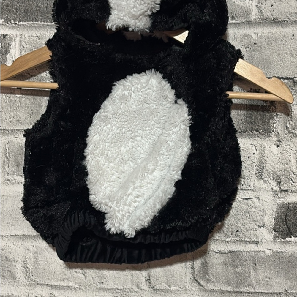 Skunk costume- removable tail